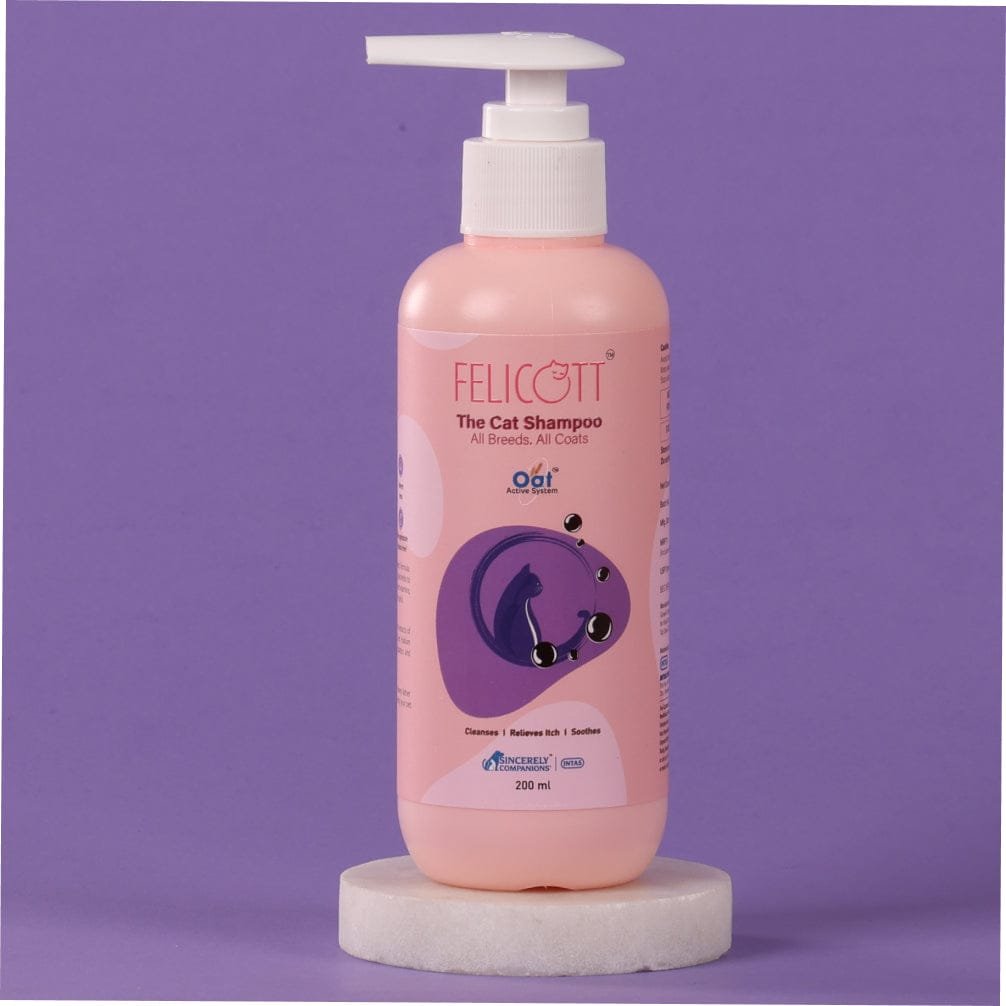 Intas felicott the cat shampoo 