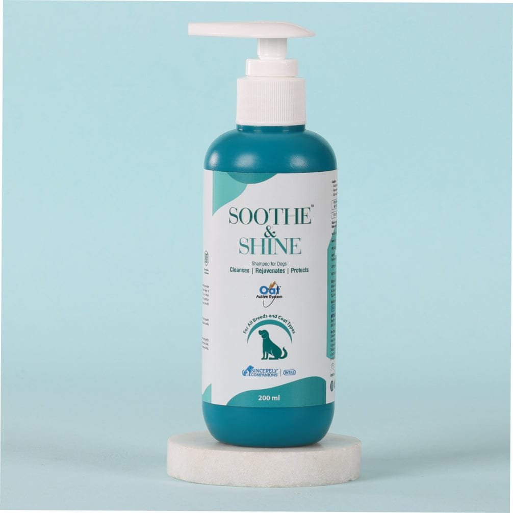 Intas soothe and shine the dog shampoo 
