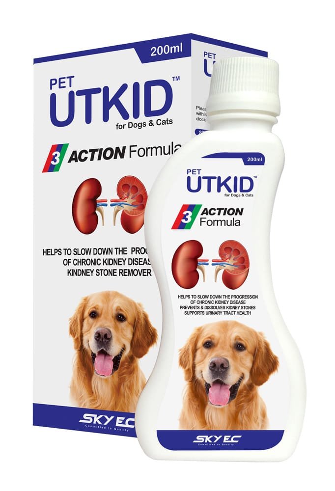SKYEC UTKID 